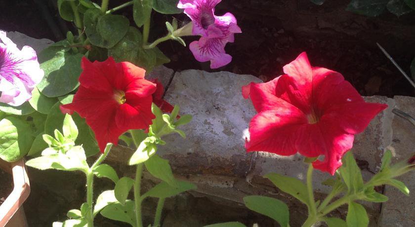 Гостиница Guest House Tair Судак